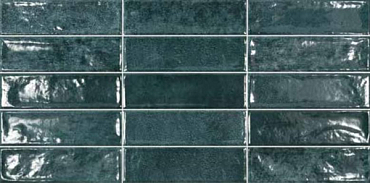 Настенная плитка Ecoceramic Pool Blue 31.6x60