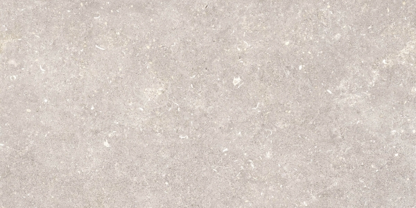 Pamesa Dover Greige 60×120