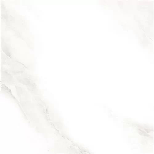 Керамогранит Sina Tile &amp; Ceramic Ind.co Shine grey Polished 60x60