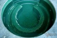 Керамическая плитка как один из материалов для облицовки бассейна