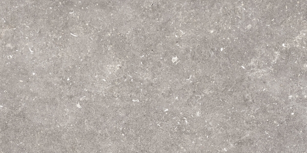 Pamesa Dover Gris 60×120