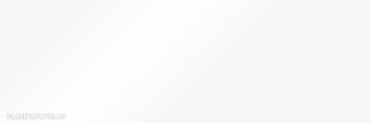 Настенная плитка Ibero Sirio White Gloss 20x60