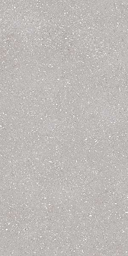 Керамогранит TAU Ceramica Sassy Silver Rec 60x120