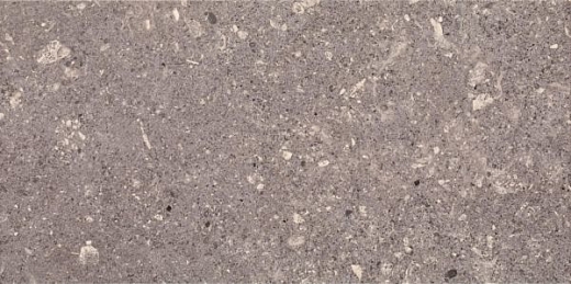 Настенная плитка Paradyz Aragorn Grys 30x60
