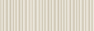 Керамогранит TAU Ceramica Duero White 16.3x51.7