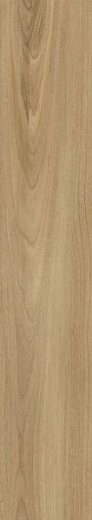 Керамогранит Ceramika Konskie Botanica Dreamwood Rett 20x120