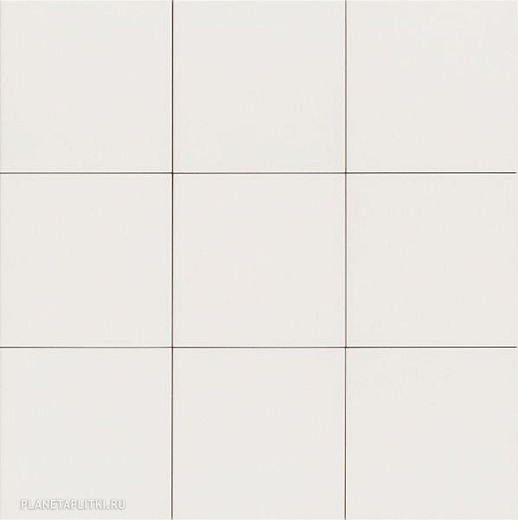 Керамогранит Mainzu Trinity Riga White 20x20