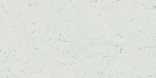 Керамогранит Atlas Concorde Marvel Carrara Pure 50x110
