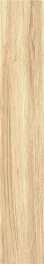 Керамогранит Bonaparte ZC 1223081 rect 20x100