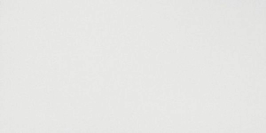 Настенная плитка Atlas Concorde 3D Wall Solid White Matt 40x80