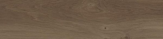 Керамогранит Porcelanosa Forest Cognac 22x90