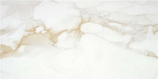 Керамогранит STN Ceramica P.E. Pul. Camile Gold Rect 60x120