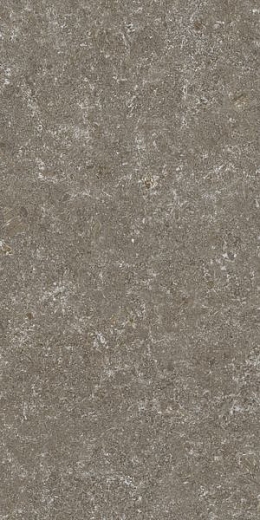 Керамогранит STN Ceramica Verity Natural Mt Rect. 60x120