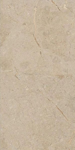 Керамогранит Art&amp;Natura Una Pietra Nordix Camel Rustic Carving 60x120