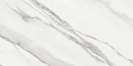 Керамогранит Argenta Nesta White RC 60x120