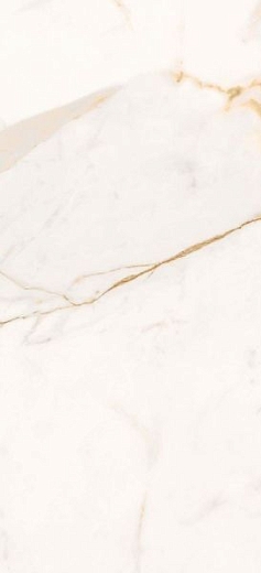 Керамогранит Roberto Cavalli Home The Wild Spirit Calacatta Oro LX RT 59.6x119.2