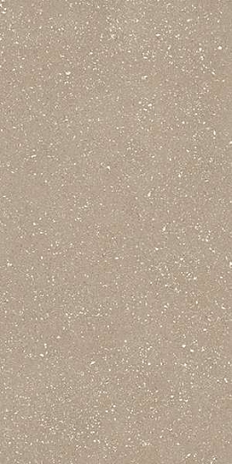 Керамогранит TAU Ceramica Sassy Greige Rec 60x120