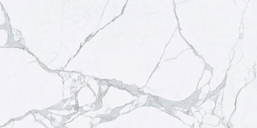 Керамогранит Tagina Ceramiche Statuario Luc Ret 60x120