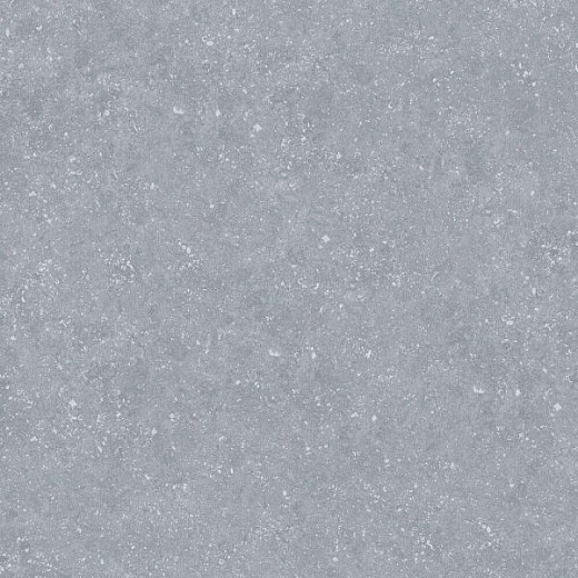 Керамогранит Ocean Ceramic Bluestone Light 60x60