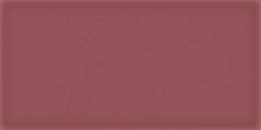 Настенная плитка Vives Ceramica Corso Burdeos 10x20