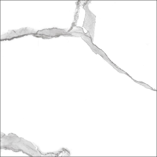 Керамогранит Pardis Ceramic Pazh Anima 60x60