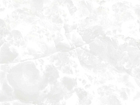 Pardis Ceramic Pazh 80x80