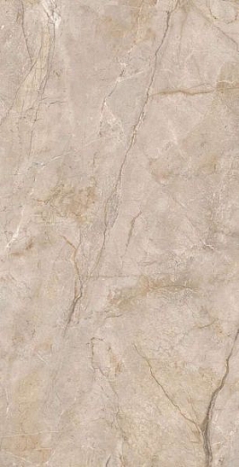 Керамогранит Ocean Ceramic Monterial Taupe 60x120