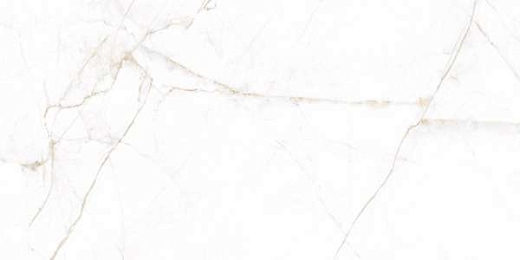 Керамогранит Museum Dual White Nt 60x120