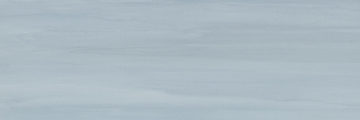 Biomim Blue30x90