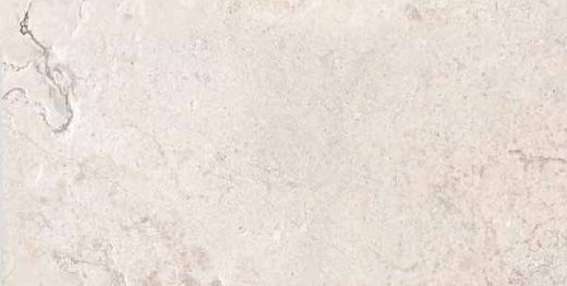 Керамогранит Ariana Ceramica Memento Limoges White Nat R 60x120