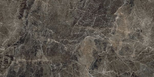 Керамогранит Nexion Leptis Frappuccino 60x120