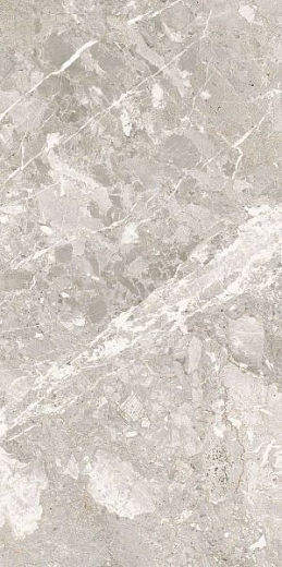 Керамогранит TAU Ceramica Belcastel Silver 60x120