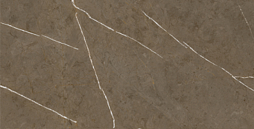 Керамогранит Basconi Home Stone Brown BHM-5009 60x120