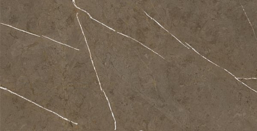 Керамогранит Basconi Home Stone Brown BHM-5009 60x120