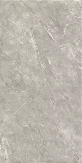 Керамогранит Sina Tile & Ceramic Ind.co Nismo Grey Polish 60x120