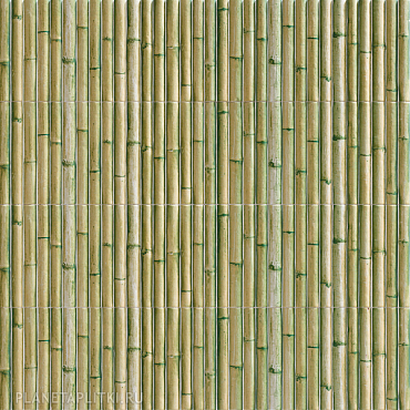 Настенная плитка Mainzu Bamboo Green 15x30