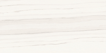 Керамогранит Ariostea Zebrino Bianco luc. 60x120