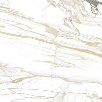 Керамогранит Delacora Carrara Royal matt. 60x120