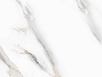 Pardis Ceramic Pazh 80x80