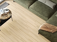New Trend 15x60