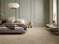 Rondine Dream