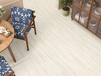 New Trend 15x60