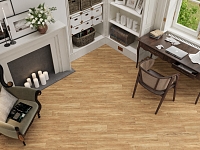 New Trend 15x60