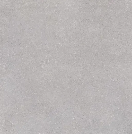 Керамогранит Vives Ceramica Nassau-R Gris 59.3x59.3