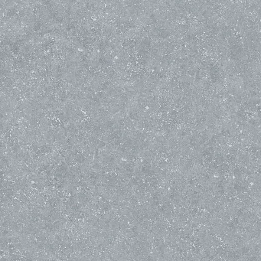 Керамогранит Ocean Ceramic Bluestone Light 60x60