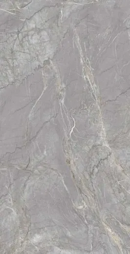 Керамогранит Ocean Ceramic Rexo Grey Sugar 60x120