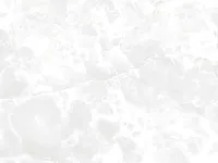 Pardis Ceramic Pazh 80x80