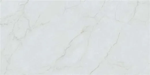 Керамогранит STN Ceramica Caryn Bianco Pul Rect 60x120
