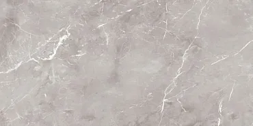 Керамогранит Ariana Ceramica Epoque Grey Lap 60x120