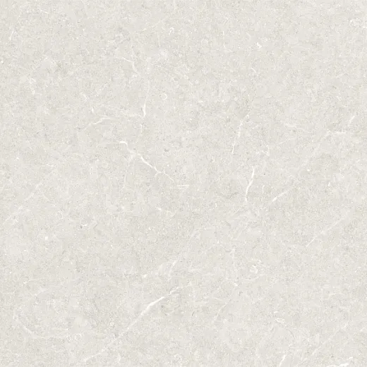 Керамогранит Argenta Bergstein Light 60x60